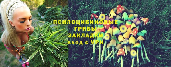 метадон Инта