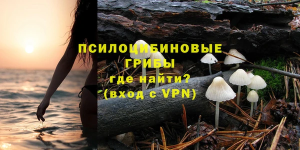 таблы Инсар