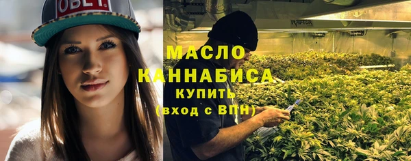 метадон Инта