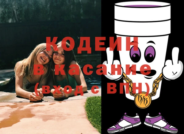 метадон Инта