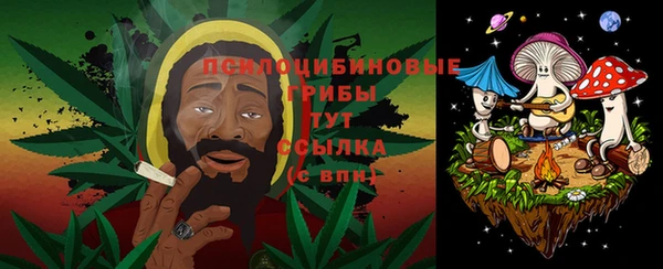 таблы Инсар