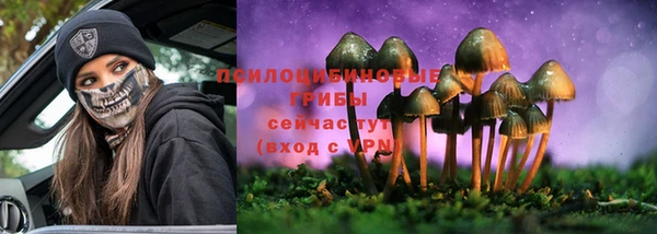 таблы Инсар