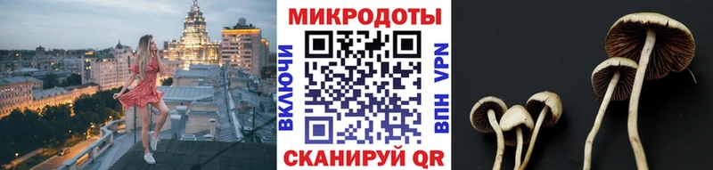 Купить закладки  Змеиногорск  Псилоцибиновые грибы MAGIC MUSHROOMS 